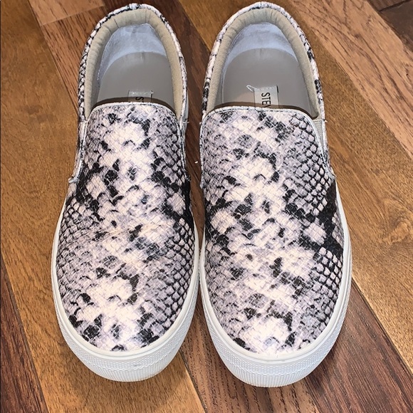 steve madden gills snakeskin